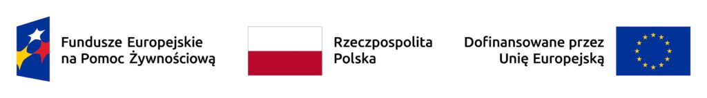 No go funduszu europejskiego flaga Rzeczypospolitej polskiej Logo dofinansowania przez Unię Europejską
